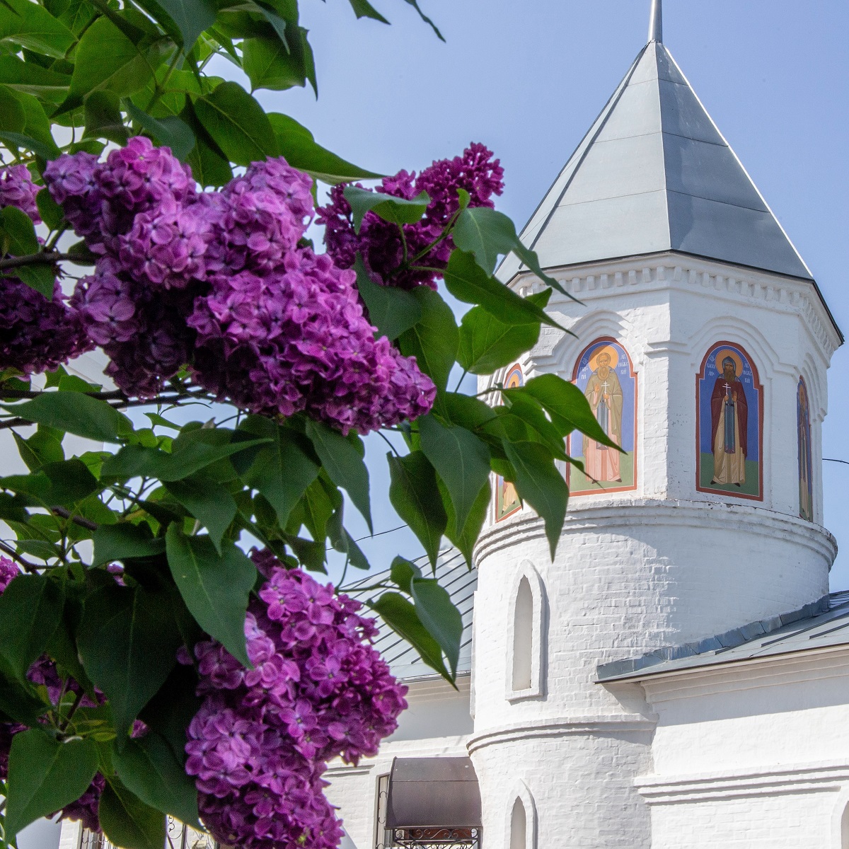 сирень и храм